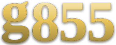 g855 โลโก้